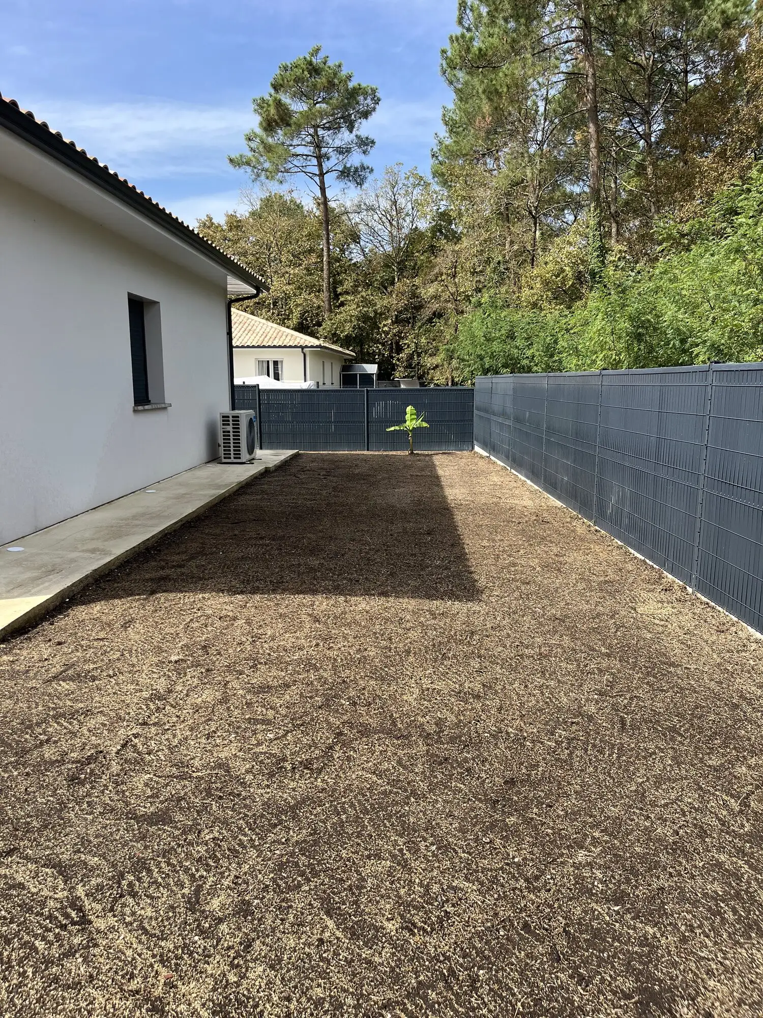 Terrain sableux nivelé dans l'angle du jardin, avant semis