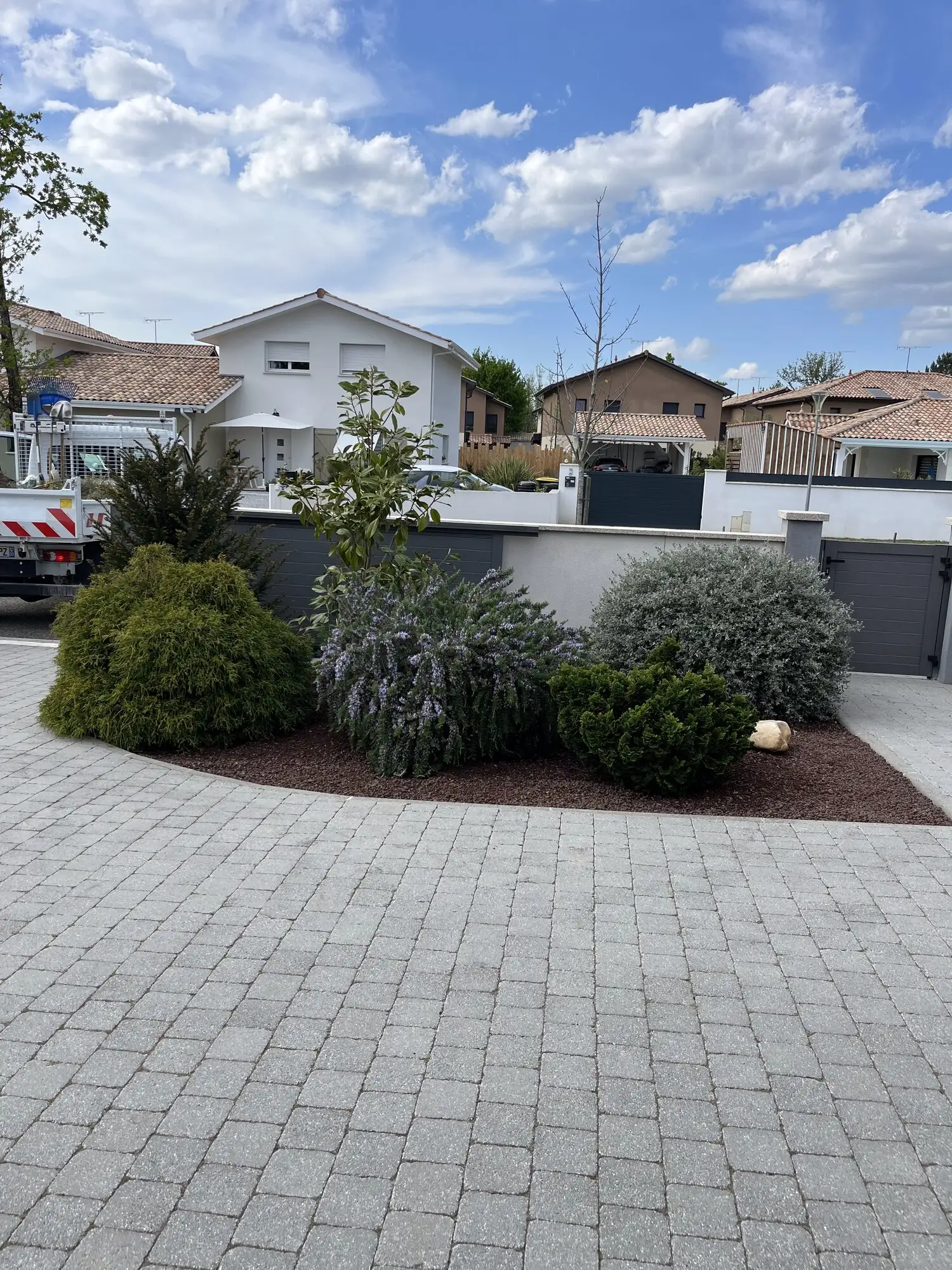 Massif d'arbustes taillés et paillés en bord d'allée pavée