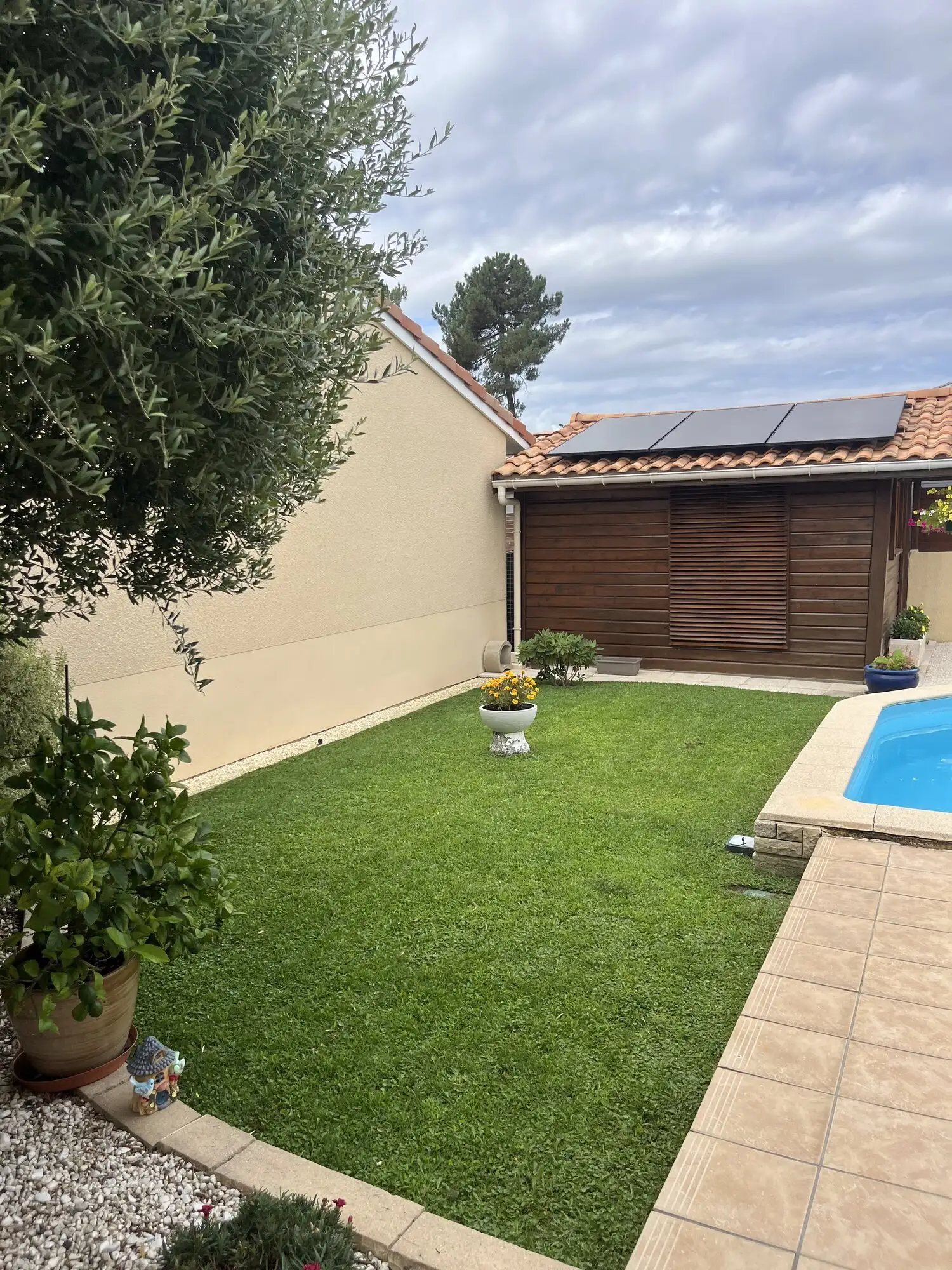Pelouse tondue et taillée autour d'une piscine, avec haie et arbustes en arrière-plan