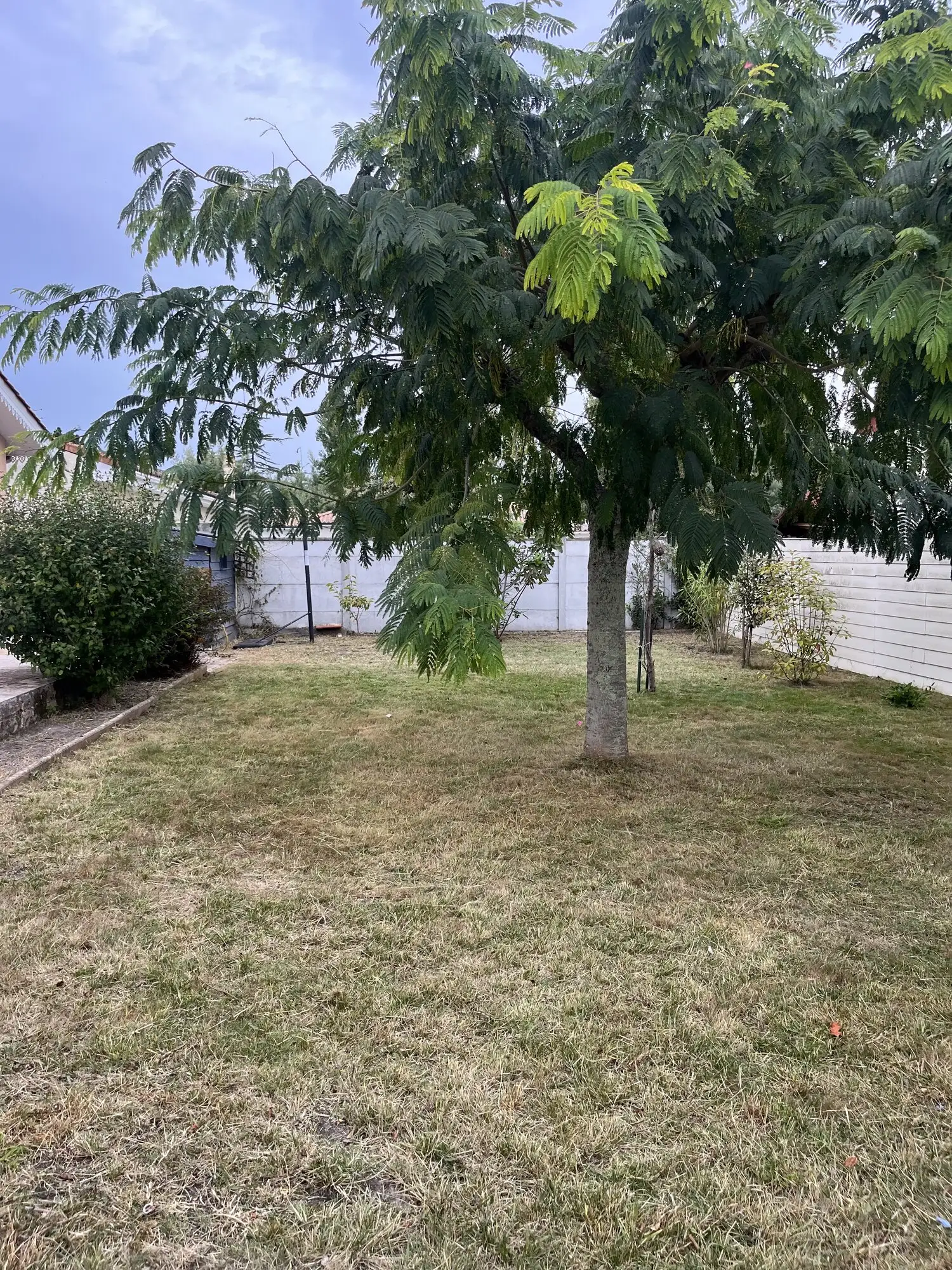 Le même fond de terrain tondu, l'arbre dégagé, après intervention