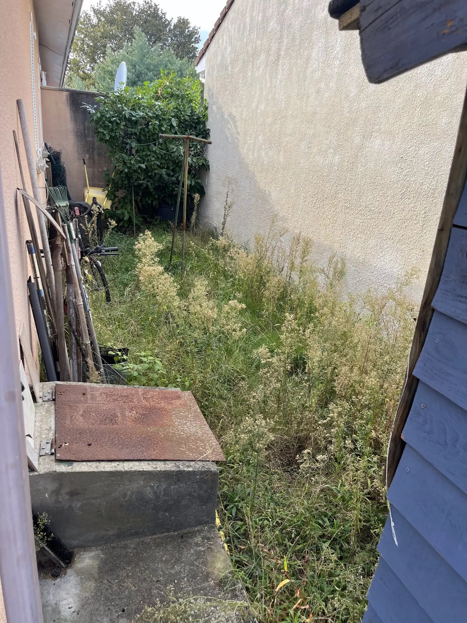 Passage latéral envahi d'herbes hautes le long d'un mur, avant intervention