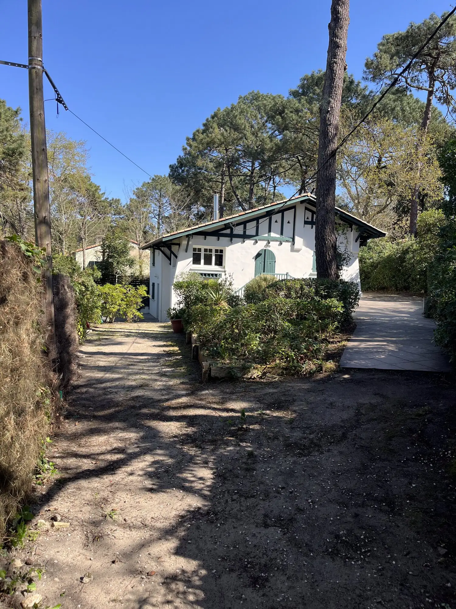 Villa arcachonnaise sous les pins, allée d'accès et massifs taillés