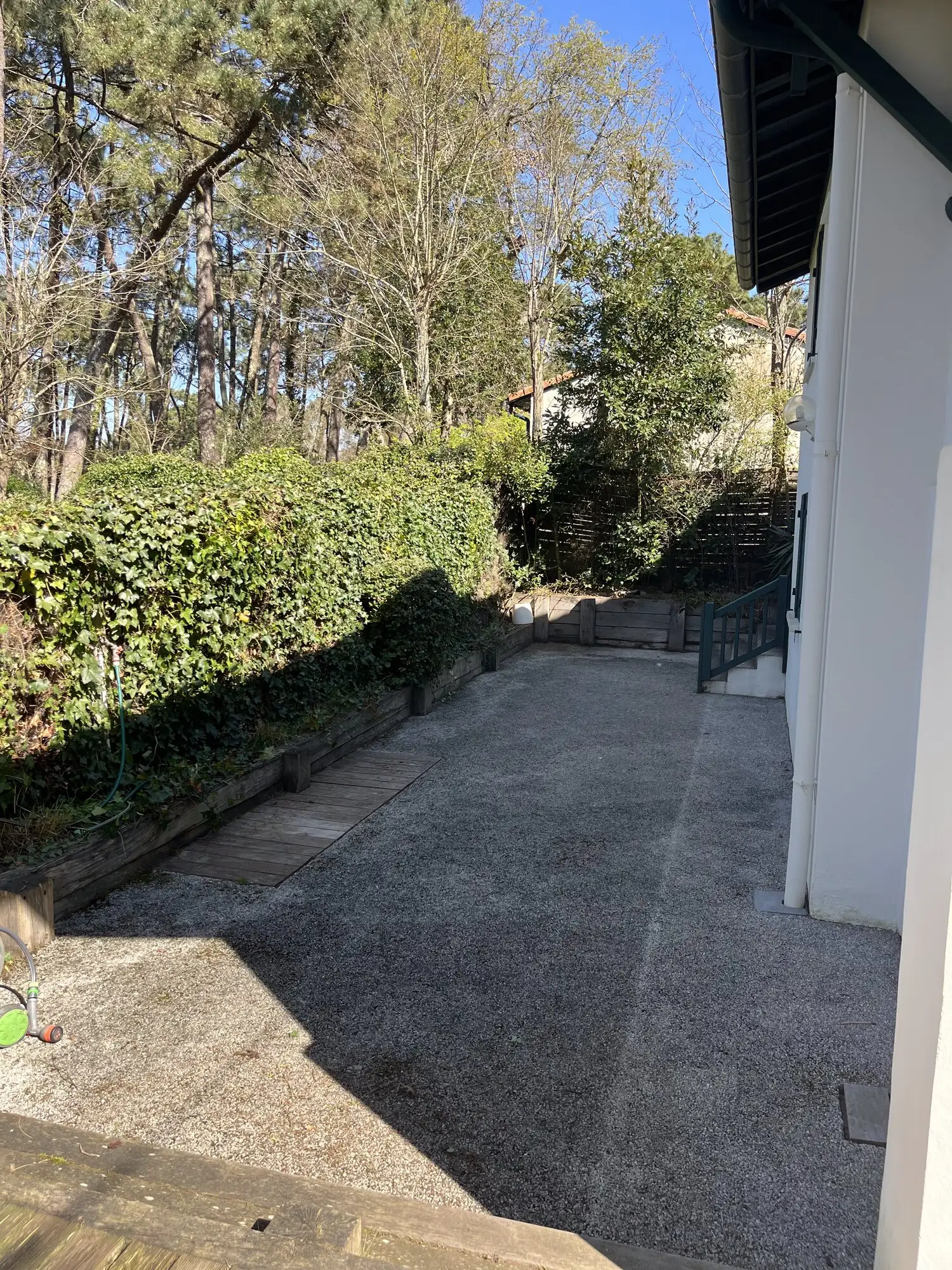 Passage latéral bétonné le long de la villa, bordé d'une haie taillée
