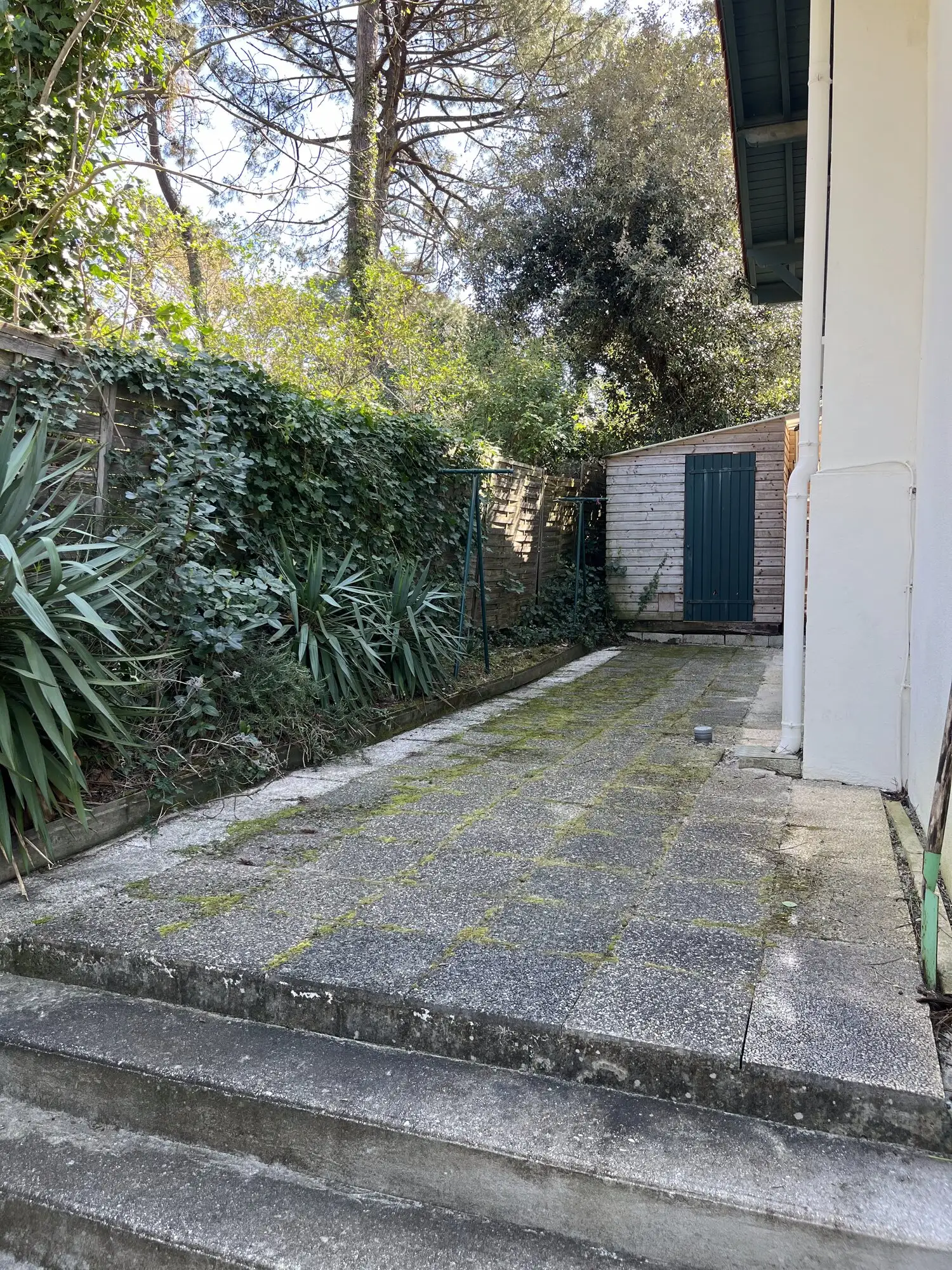 Allée pavée remontant vers la maison, bordée de yuccas